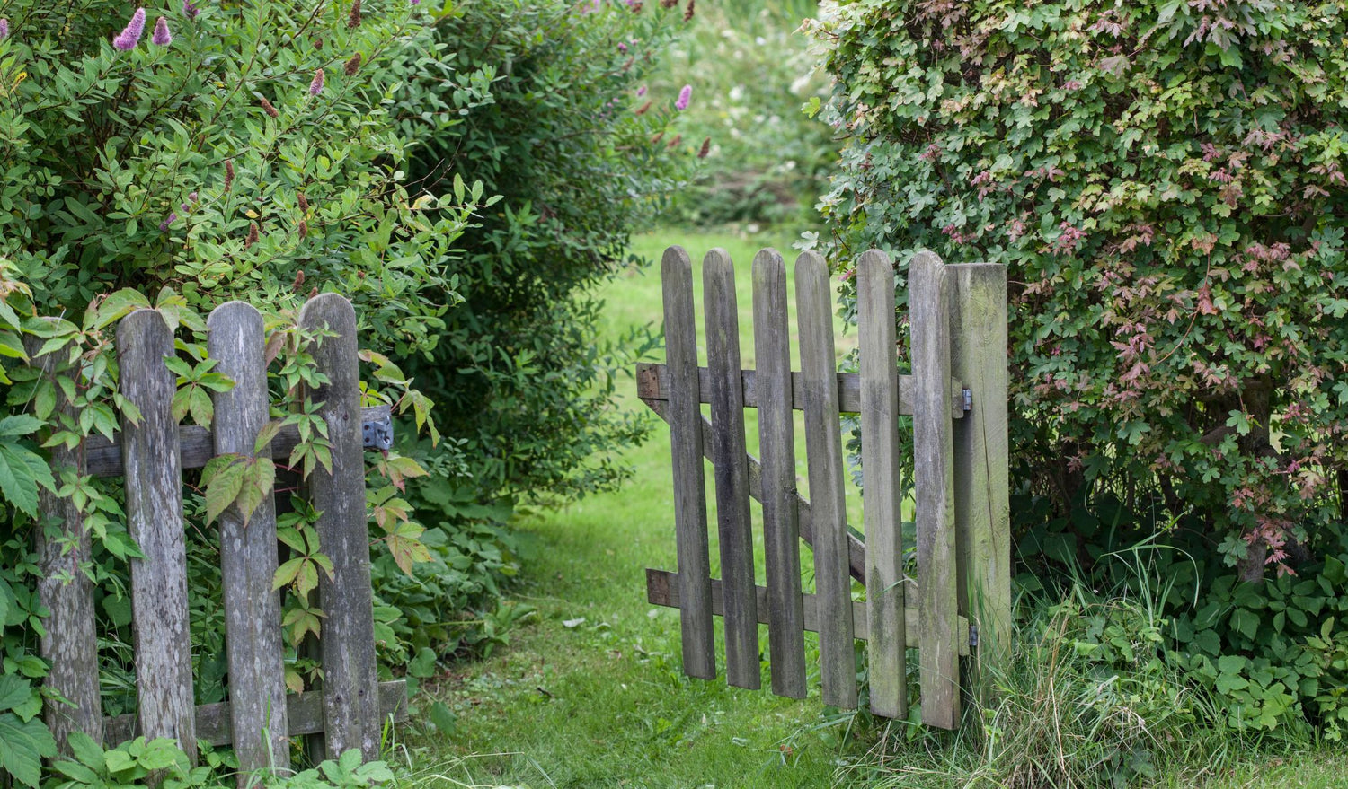 A half open garden gate with lush green grass beyond. This suggests slowing down and enjoying the simple pleasures in the garden.
