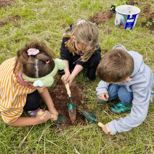 Digging holes to plant pumpkins
