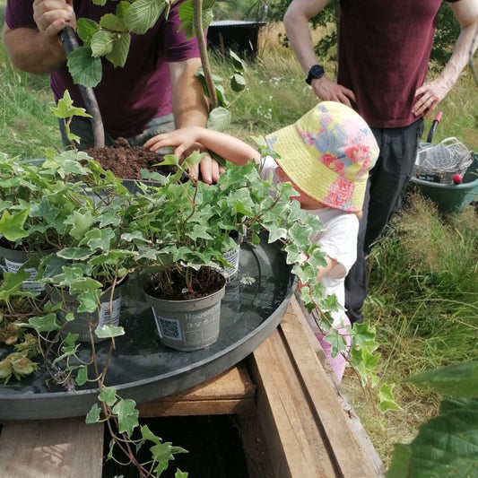 Build A Bug Hotel - Copper & Holly