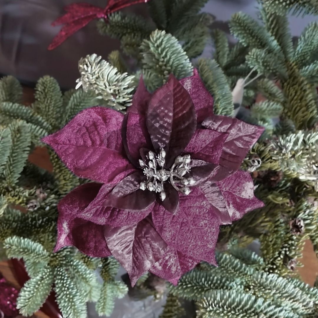 The purple silk poinsettia clip on decoration on a Christmas tree with a dark grey background