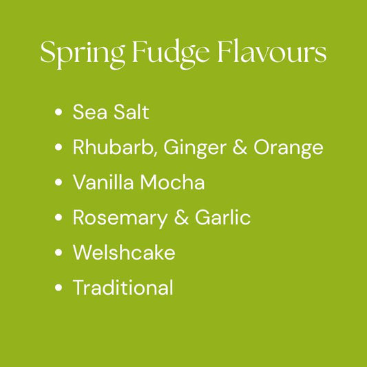 Handmade Fudge Gift Tin - Assorted Seasonal Flavours - Copper & Holly