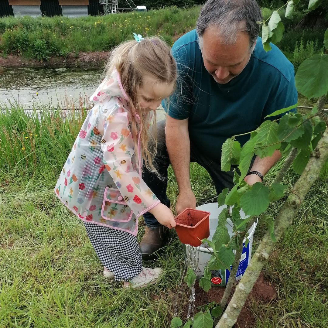 Watering the newly planted pumpkin seedlings