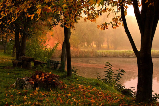 A Pause Amid the Noise