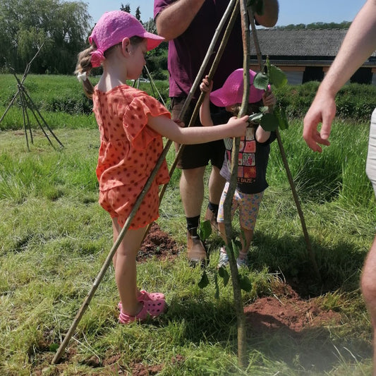 On the Smallholding | May