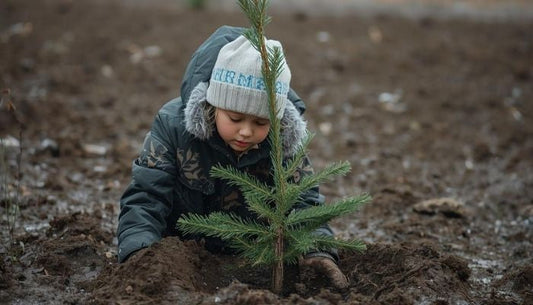 Grow With Me Week: Nurturing Winter Saplings