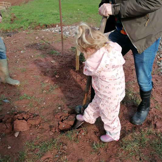 Planting During Winter: Why Timing Matters