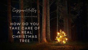 How Do You Take Care of a Real Christmas Tree?