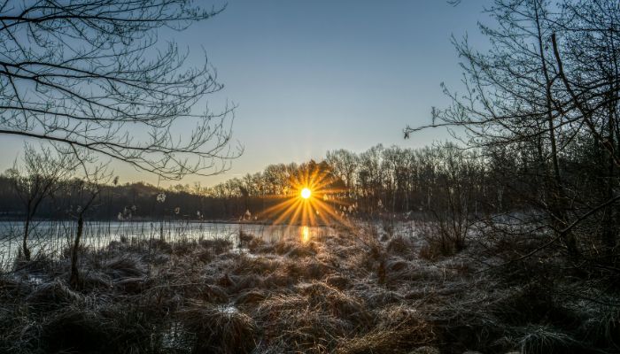 Simple Rituals to Begin Your Day in Winter