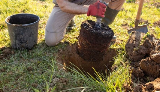 Preparing for New Growth: An Introduction to Grow With Me