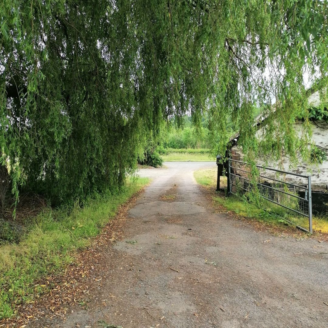 On The Smallholding | June