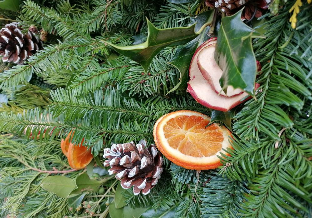 Fir cones, orange slices and apple slices against a fir and holly background (close up of fresh wreath)