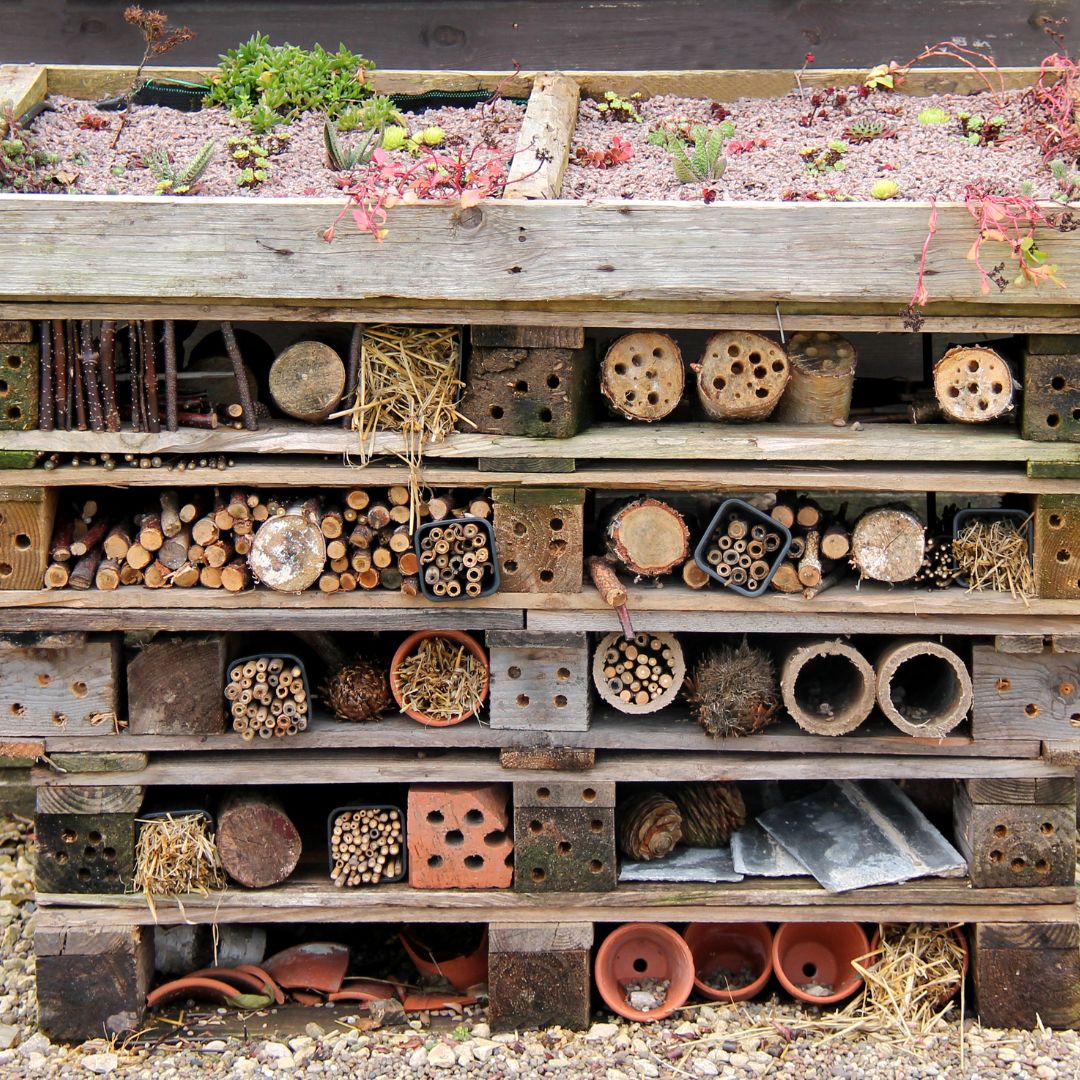 Build A Bug Hotel - Copper & Holly