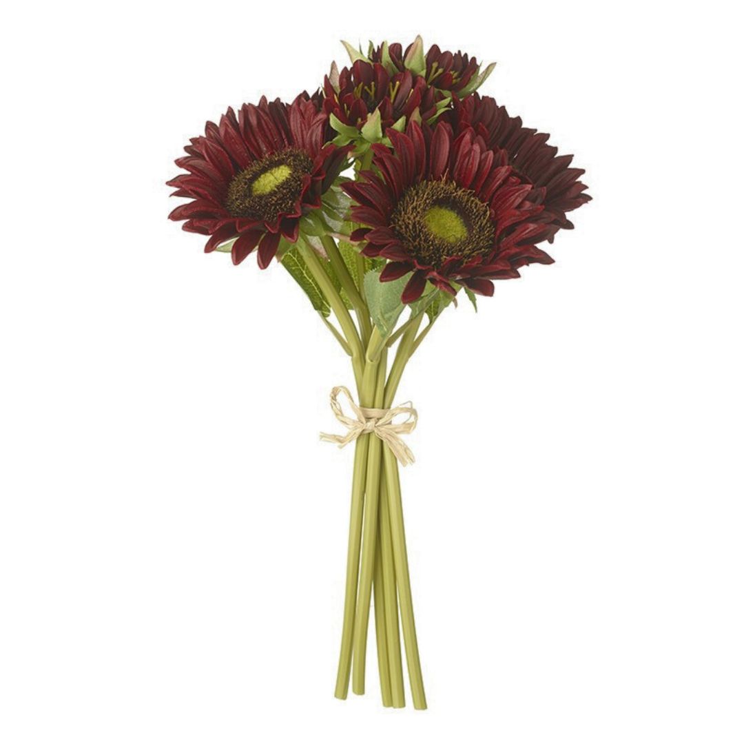 Bouquet of red sunflowers tied with a beige ribbon on a white background