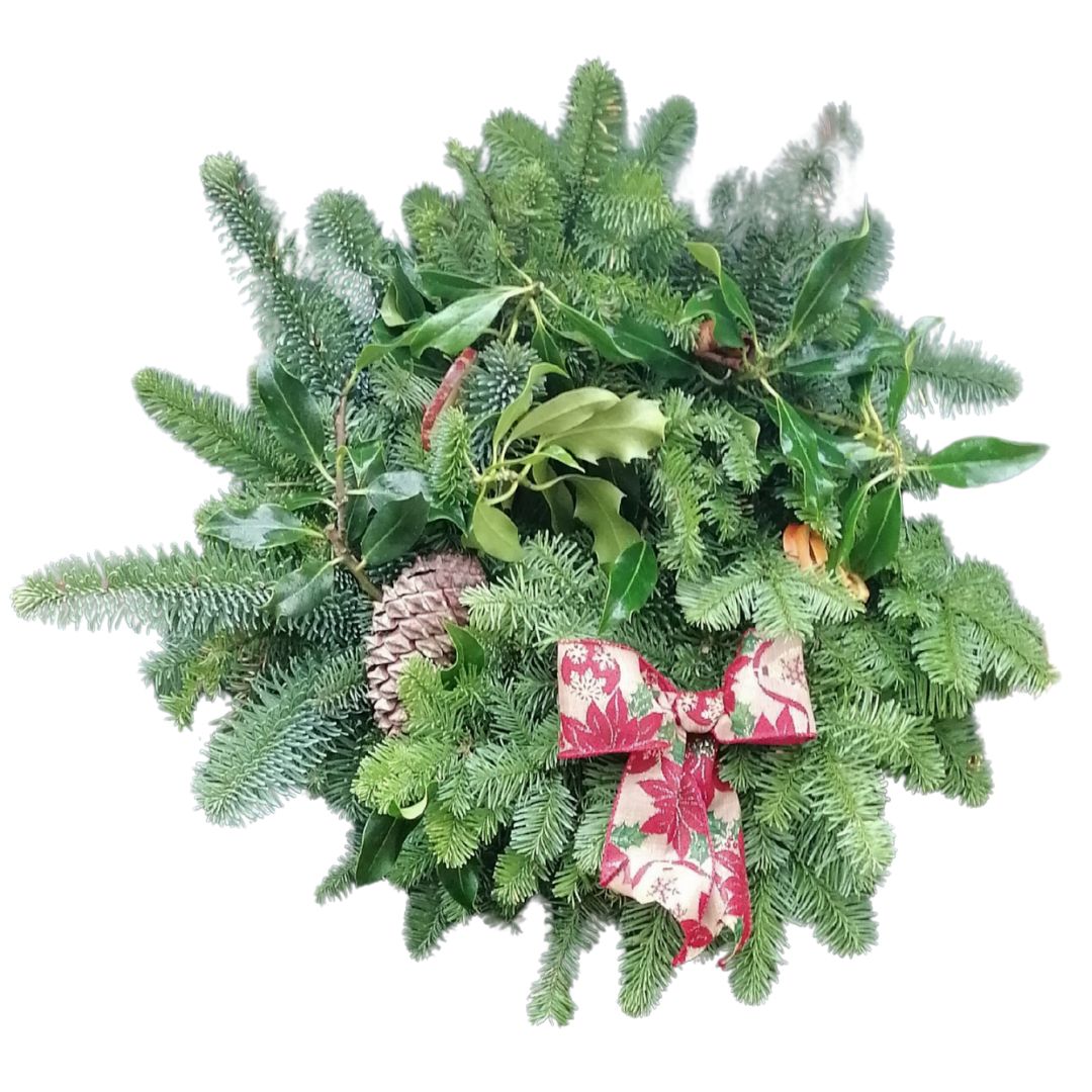Christmas wreath with greenery, pinecones, and a red floral bow on a white background