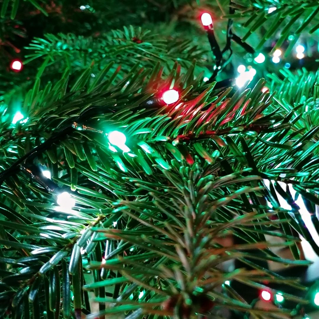 red green and white lights on a tree