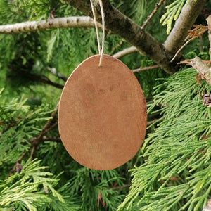 The disc of the cinnamon Christmas tree decorations