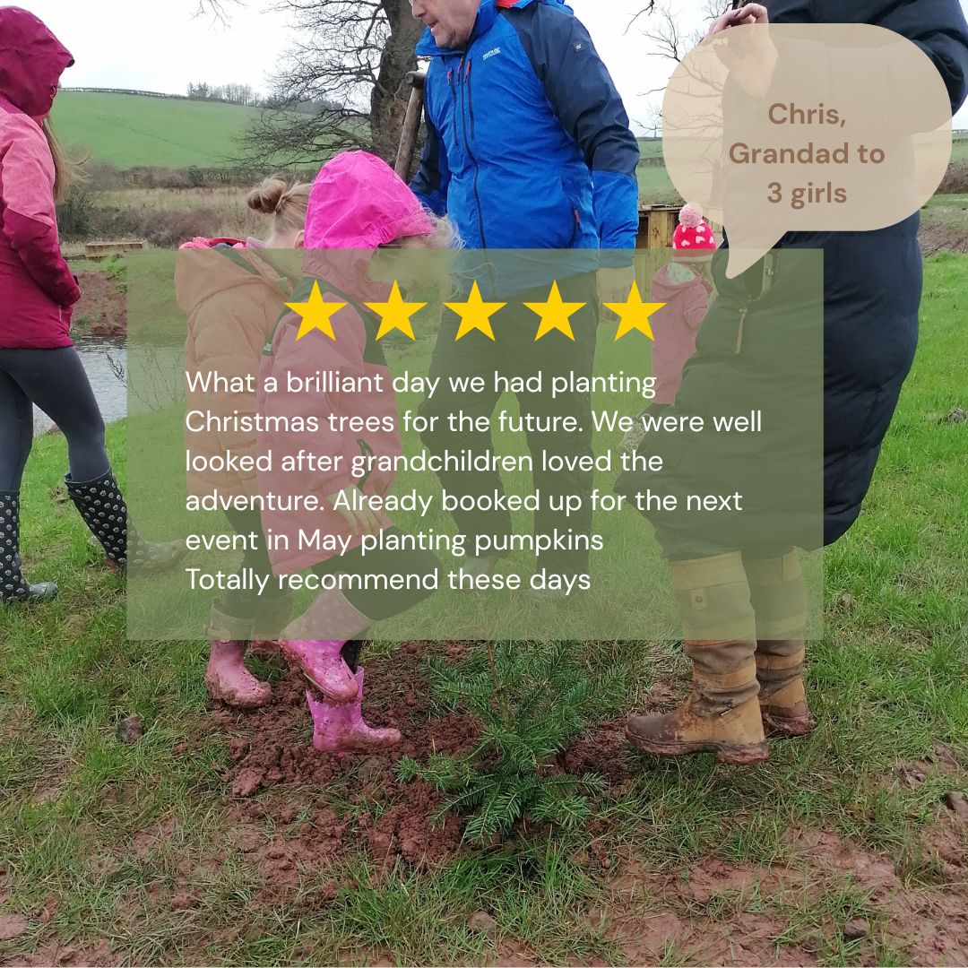 Grow Your Own Tree - Year 1 - Copper & Holly