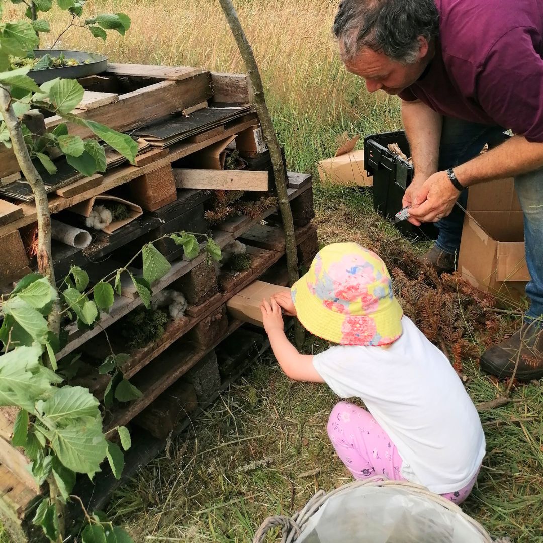 Build A Bug Hotel - Copper & Holly