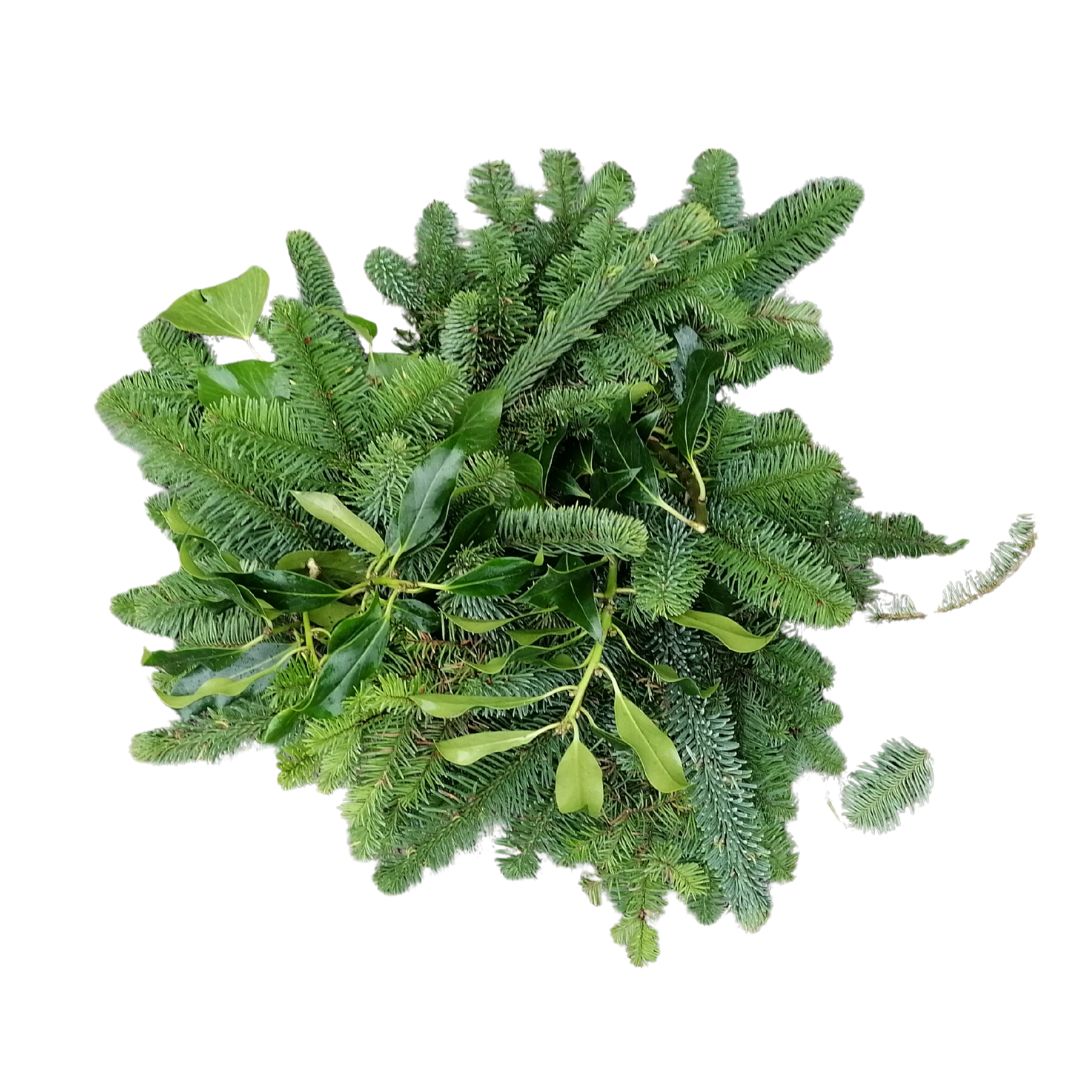 Pile of green foliage on a white background