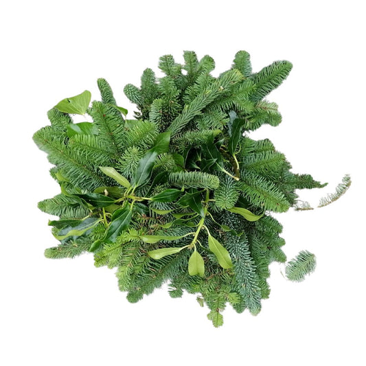 Pile of green foliage on a white background