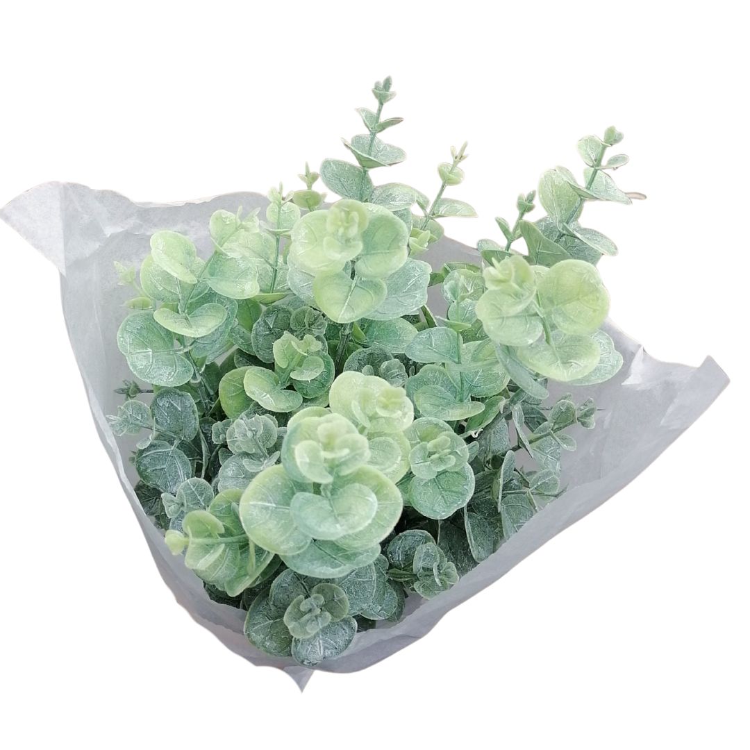 Green eucalyptus stems hand tied in a white tissue paper wrapping