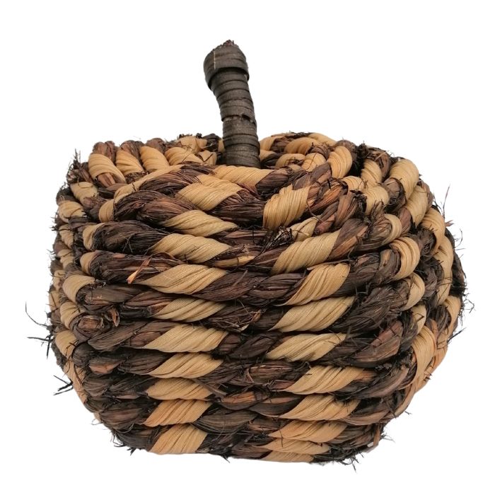 Coiled vine pumpkin with stalk on a white background