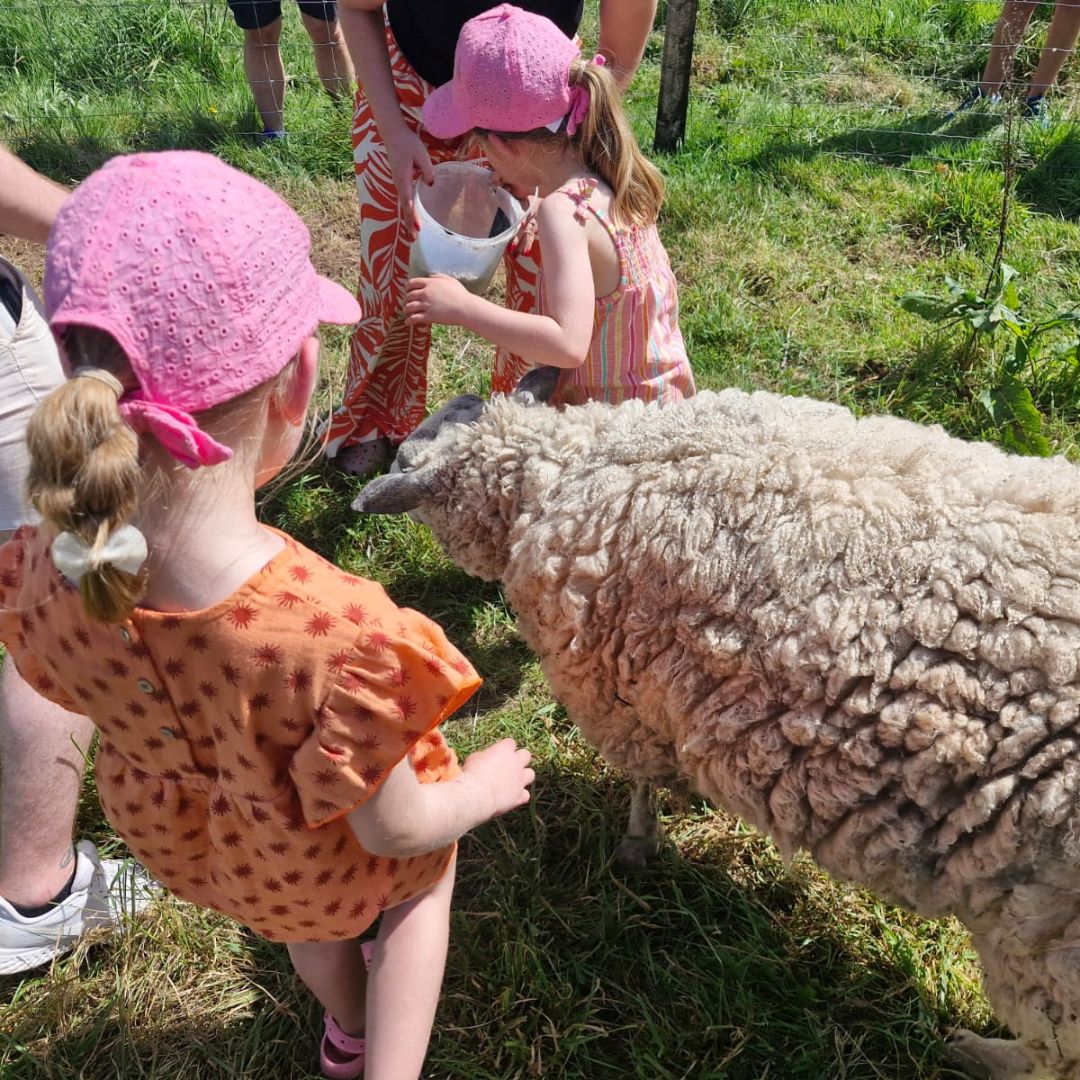 Meeting Dodger as part of the farm experience