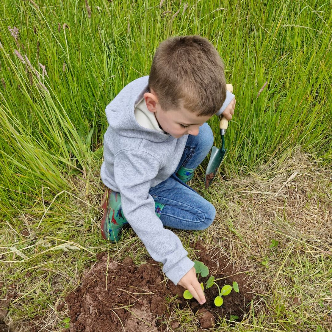 Planting pumpkins on the farm experience