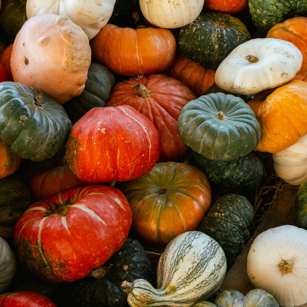 Plant Your Own Pumpkin Patch - May Half Term - Copper & Holly