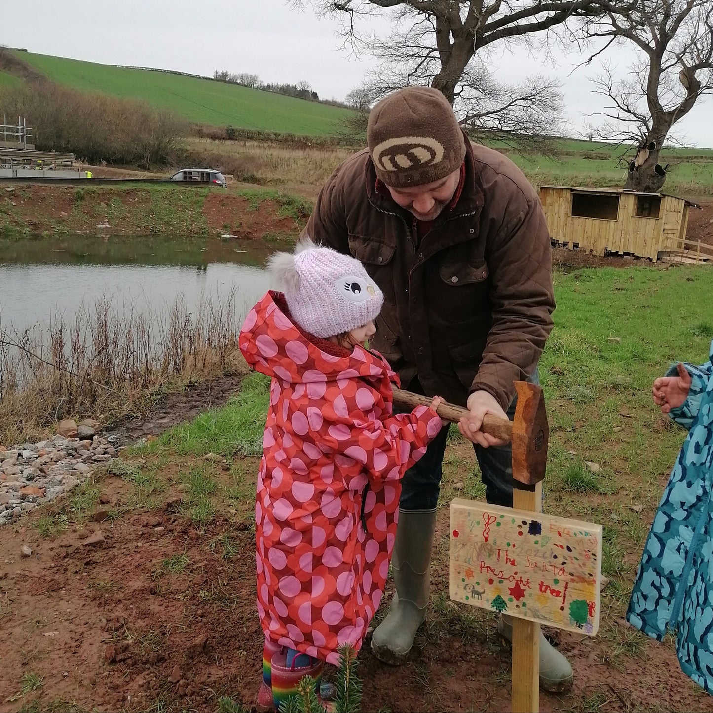 Grow Your Own Tree - Year 1 - Copper & Holly