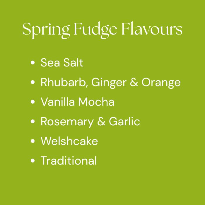 Handmade Fudge Gift Tin - Assorted Seasonal Flavours - Copper & Holly