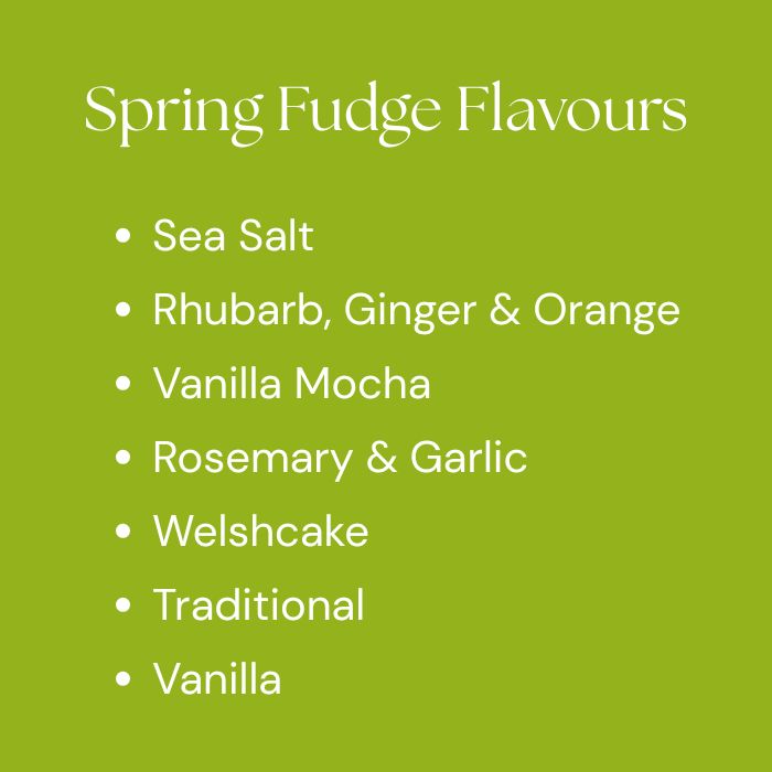 Handmade Fudge Snack Packs - Pick Any 3 Flavours (3 x 100g) - Copper & Holly