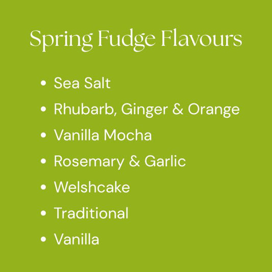 Handmade Fudge Snack Packs - Pick Any 3 Flavours (3 x 100g) - Copper & Holly