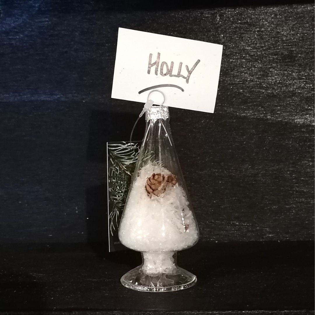 Decorative glass ornament with snow and pine cone on a dark background