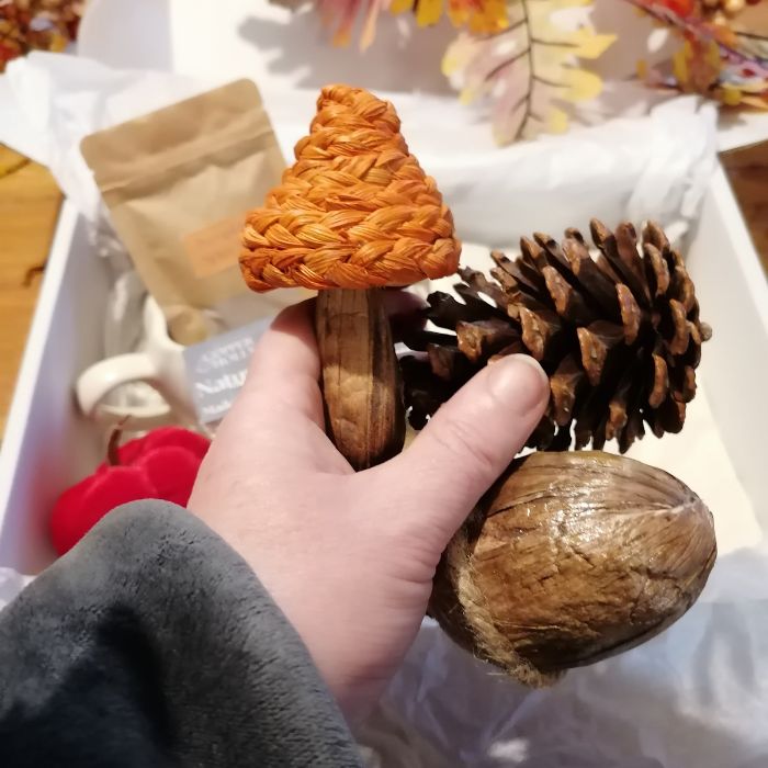 Hand holding a pine cone with a woven top, surrounded by other natural items.