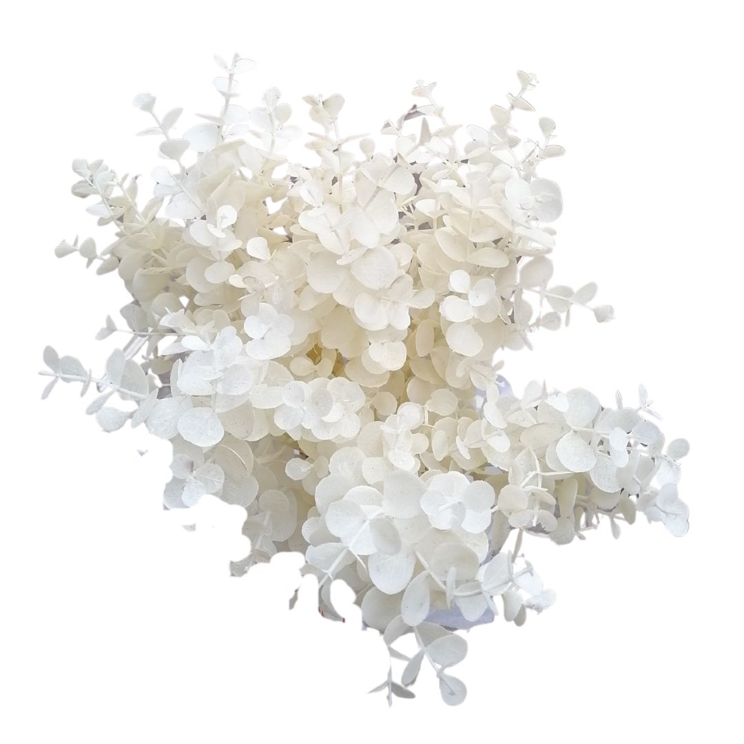 White floral arrangement on a white background