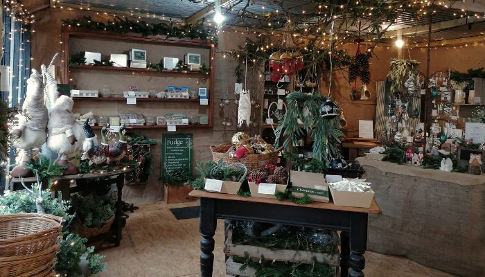 Copper & Holly — Great Pumpkin Harvest venue photograph