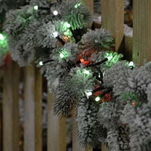 Showing the 1000 glow worm lights on a wooden fence