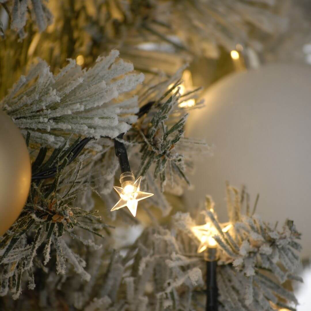 Close up of bulbs on battery powered star lights