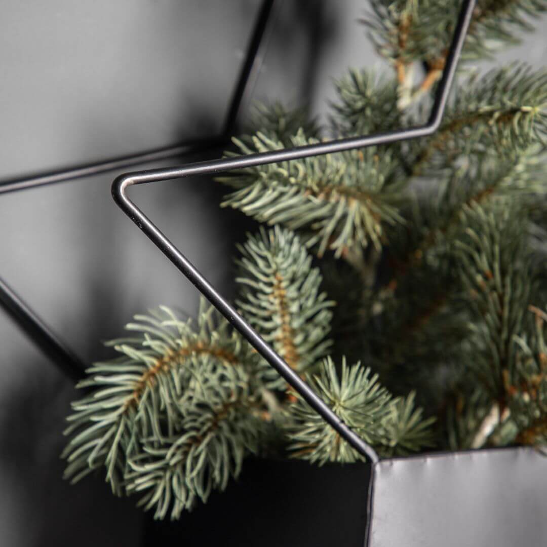 Showing the close up of the star metal planters (which has been filled with foliage)