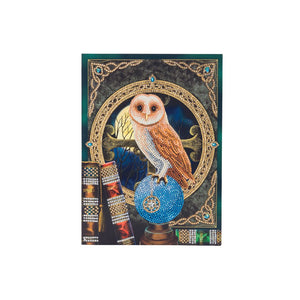 Astrological owl design showing the barn owl sitting on a crystal ball with winter scene in background and books in the foreground