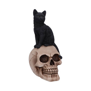 Showing the black cat sitting on top of a fairly lifelike skull, in this Halloween skull decor item