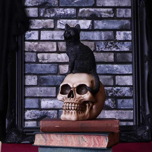 Showing the Halloween skull decor on display a top a pile of stacked old books