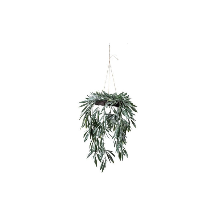 Hanging Eucalyptus Wreath