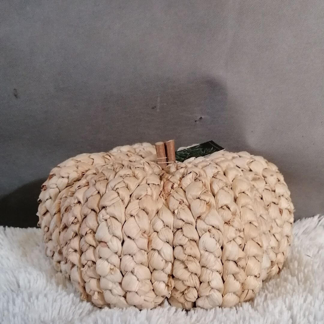 Cream pumpkin against a dark grey background
