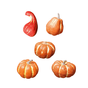 Showing the different styles of orange pumpkin decorations in this range