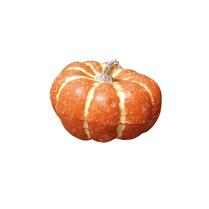 The dark orange stripe orange pumpkin decoration