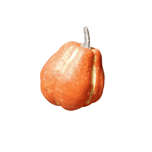 The pear orange pumpkin decoration
