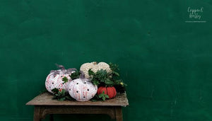 Shot against a dark green background, this shows the cream pumpkin in amongst a collection of other pumpkins