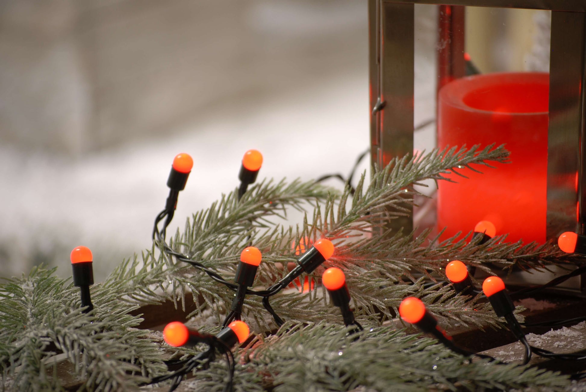 A close up of the red berries Christmas lights in some green foliage